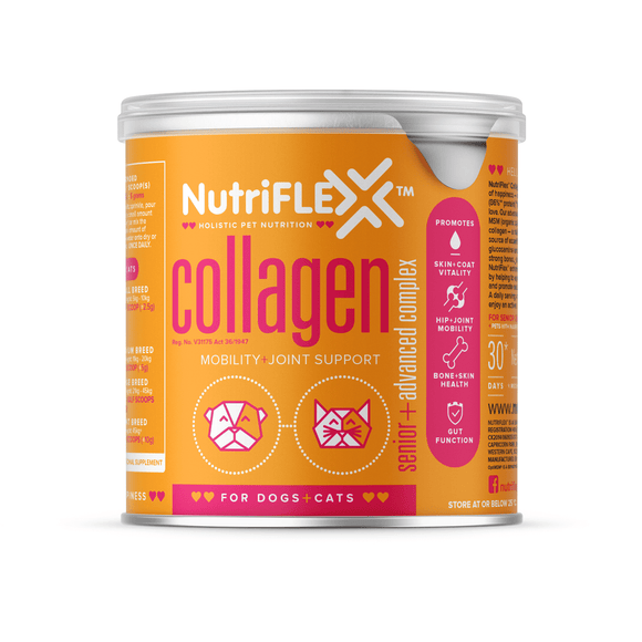 Nutriflex Collagen Advanced Mobility Complex For Dogs & Cats 250G