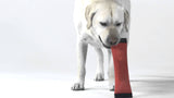 Outward Hound FireHose Squeak-N-Fetch