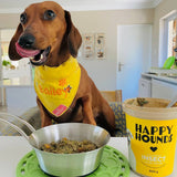 HAPPY HOUNDS LOVE BUG INSECT PROTEIN FOOD