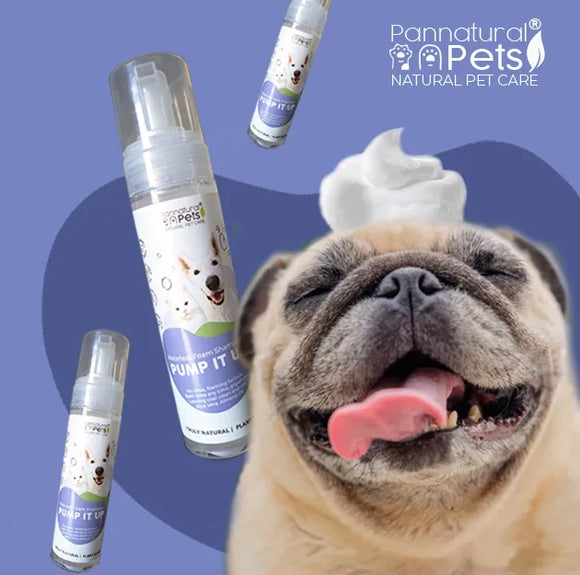 Pump it up! – Natural Waterless Foam Shampoo for Pets HypoAllergen