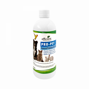 Pro-Pet Probiotic for Pets