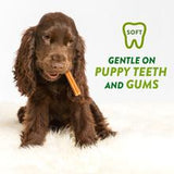 Whimzees Puppy Packs