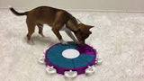 Nina Ottosson Dog Twister Puzzle Toy Level 3