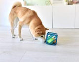 Outward Hound Puzzle Cube