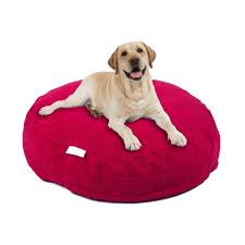 Shloomfy Pet Range Corduroy Flame Red Large